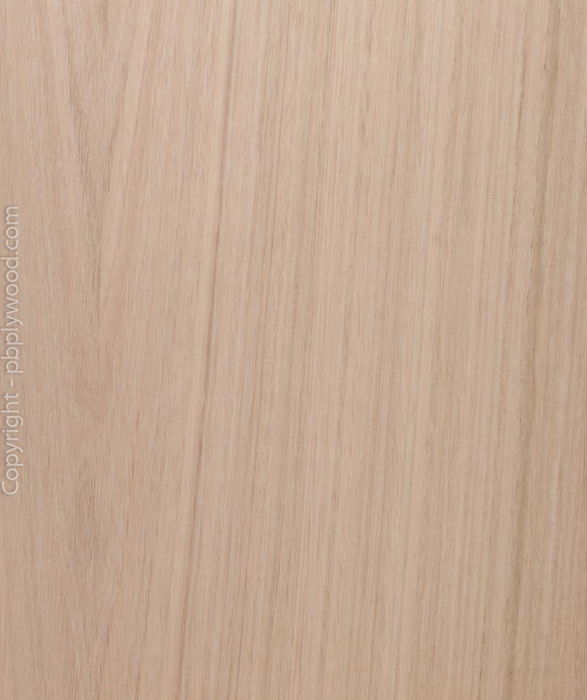 Eucalyptus Veneered Hardwood Plywood Peter Benson Plywood Ltd